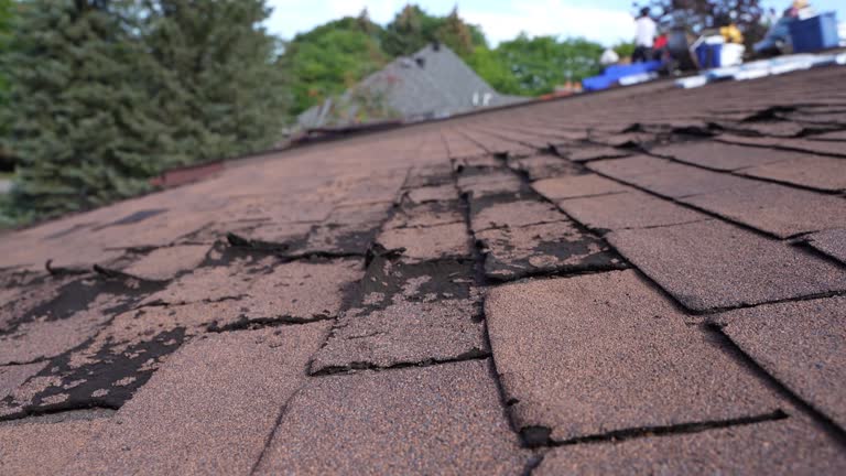  , DC Roofing Service Pros